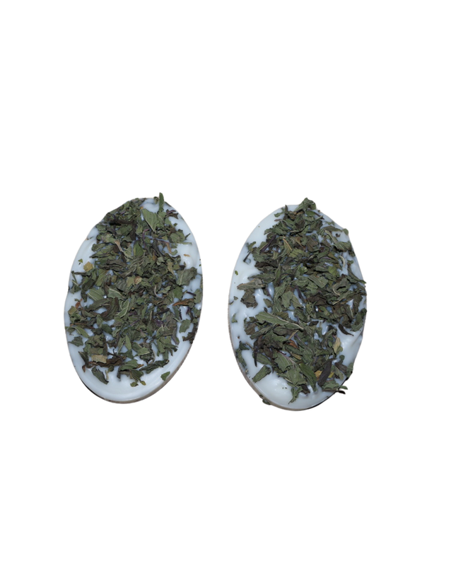 Natürliche Duftplättchen 2er SET – Bio-Sojawachs mit Minzblättern