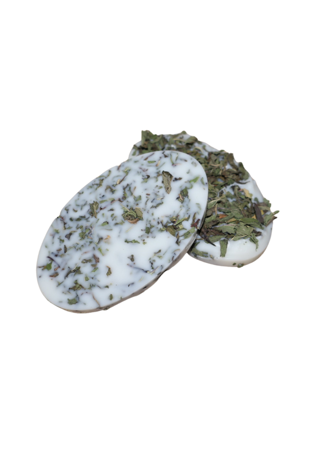 Natürliche Duftplättchen 2er SET – Bio-Sojawachs mit Minzblättern